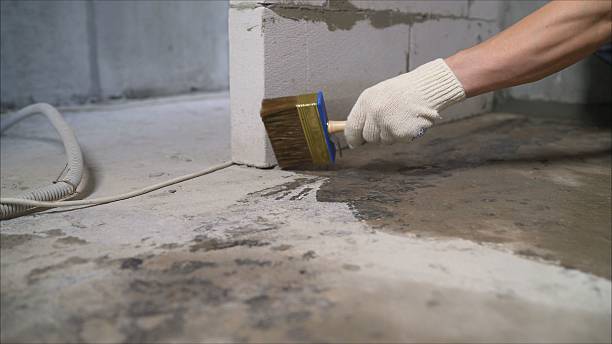 Top rated local Basement Waterproofing specialists in Fairfax, VA